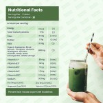 铁泡腾片工厂 - 脑健康免疫提升