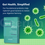 益生菌口服膜工厂 - 消化支持溶解