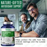 免疫增强胶囊供应商 - 叶绿素能量水平