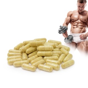 Maca Capsules Factory - Strength Vitality Energy Boost
