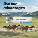 增重胶囊供应商 - 女性能量食欲提升