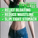 减重丸供应商 - 植物提取腹部脂肪