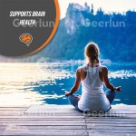 绿茶提取粉生产厂家 - 50%多酚食欲