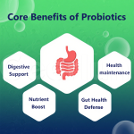 益生菌口服膜工厂 - 消化支持溶解