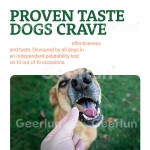 南瓜粉工厂 - 犬消化支持纤维