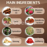 玛卡咖啡供应商 - 人参能量男性