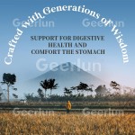 姜糖工厂 - 素食消化健康柠檬