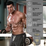 人参丸工厂 - 天然肌肉增长支持