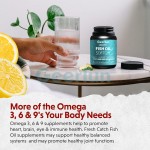 三文鱼油软胶囊生产厂家 - 记忆专注脑健康