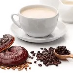 咖啡粉供应商 - 有机专注猴头菇混合