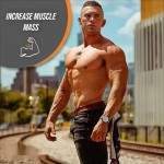 乳清蛋白粉供应商 - 厂家维生素C补充剂