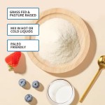 胶原蛋白粉生产厂家 - 多种维生素调味粉