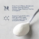 胶原蛋白粉供应商 - 素食无麸质粉