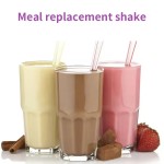 Meal Replacement Shake Factory - Blue Berry Flavor Protein