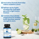 氢片生产厂家 - H2分子水补充剂