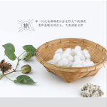 化妆棉厂家 - 美容化妆品卸妆棉