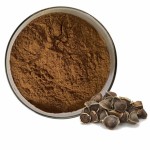 Wholesale Price Pure Natural Organic Moringa Oleifera Leaf Seed Root Extract Moringa Leaf Powder