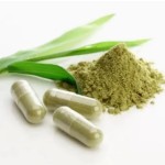 Slimming Capsules Fat Burner for Weight Loss Capsules Green Tea Extract Detox Slimming Pills