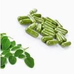 OEM Pure Organic Moringa Extract Capsules Antioxidant Effectiveness Private Label Wholesale Price for Adults
