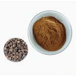 Wholesale Price Pure Natural Organic Moringa Oleifera Leaf Seed Root Extract Moringa Leaf Powder