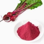 Wholesale 100% Water Soluble Food Pigment Natural Organic Red Beetroot Juice Powder Beet Root Powder for Sale