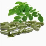 OEM Pure Organic Moringa Extract Capsules Antioxidant Effectiveness Private Label Wholesale Price for Adults