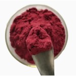 Wholesale 100% Water Soluble Food Pigment Natural Organic Red Beetroot Juice Powder Beet Root Powder for Sale