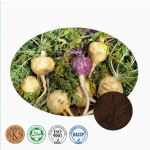 Wholesale for Maca Root Extract Powder Supplements for Male Endurance Enhancement