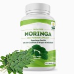 Factory Wholesale Moringa 60 Capsules Antioxidant Herbal Supplements for Liver Protection