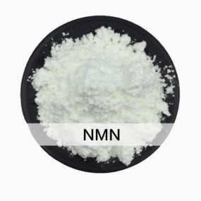 Factory Wholesale 99% Uptake Anti-Aging Beta Nicotinamide Mononucleotide (NMN) Powder Plant Extract