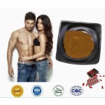 Organic for Maca Root Extract Powder Food Grade Herbal Supplement for Men and Women Vacuum Packed