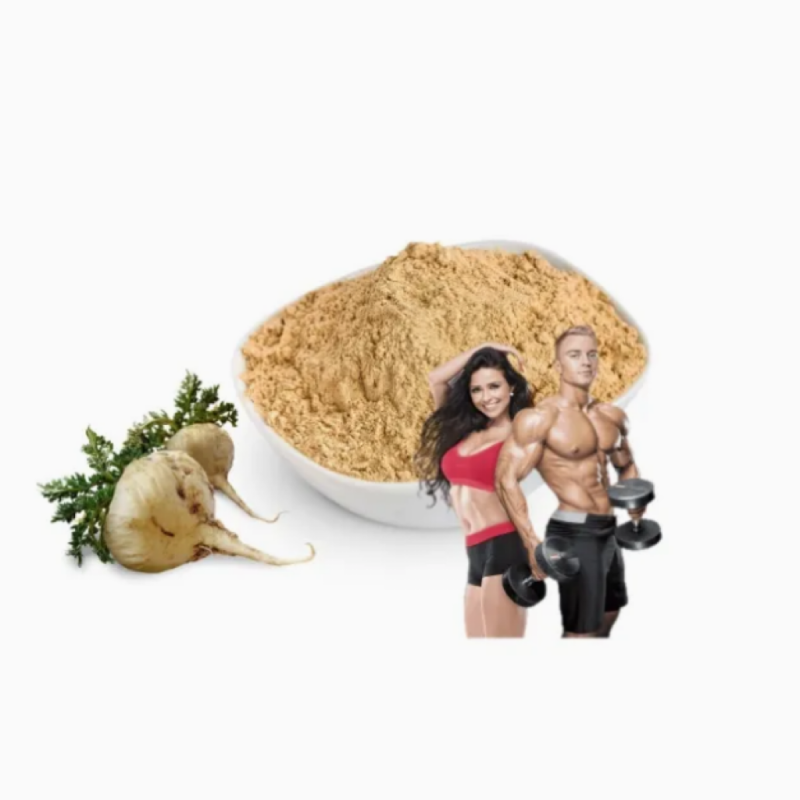 Wholesale Healthcare Grade for Maca Root Extract Powder Vacuum Packed for Maca Supplement