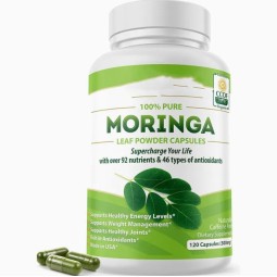 OEM Pure Organic Moringa Extract Capsules Antioxidant Effectiveness Private Label Wholesale Price for Adults