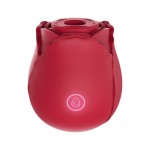 USB Rechargeable Clitoral Silicone Rose Vibrator for Women Magnetic Charging with Sucking Feature-Sex Toys