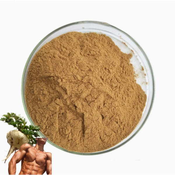OEM GMP Certified Pure Organic for Maca Root Extract Powder Certified Organic for Maca Powder for Men and Women