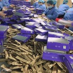 胶原蛋白饮供应商 - 针叶樱桃纤维片