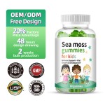 海苔软糖供应商 - 儿童成长能量补充剂