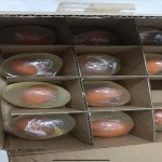 草本皂供应商 - 艾草艾草皂