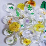 面部皂生产厂家 - 氨基酸控油美白