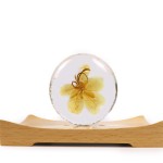 茶树皂供应商 - 抗痘美白净化