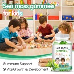 海苔软糖供应商 - 儿童成长能量补充剂