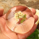 抗痘皂厂家 - 姜黄美白沐浴皂