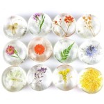 抗痘皂厂家 - 姜黄美白沐浴皂