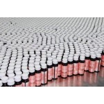 瘦身饮厂家 - 西梅柑橘消化促进