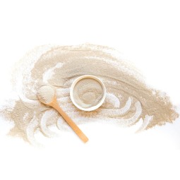 乳铁蛋白粉生产厂家 - 免疫调节粉