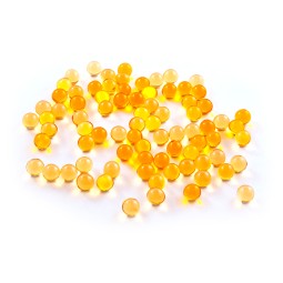 灵芝胶囊厂家 - 灵芝孢子粉胶囊