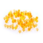 Aloe Vera Softgels Factory - OEM Health Care Softgels