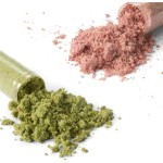 麦角硫因胶囊生产厂家 - 蘑菇提取物细胞