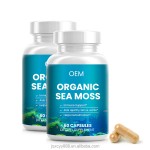 海苔提取物胶囊生产厂家 - 生爱尔兰可定制包装