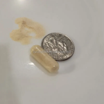 海苔喜来芝胶囊供应商 - 有机能量甲状腺